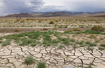 Image of parched land in Nevada