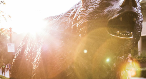 A photograph of UCLA's bronze Bruin Bear with sunlight illuminating the background.