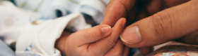 An adult's hand gently grabbing the hand of a newborn baby which is wrapped in a white pajama and cradled by blankets.