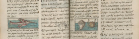 An overhead photograph of the the Florentine Codex, with illustrations of fish and birdlike features.