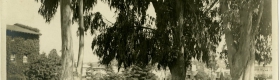 A black and white photograph of students sitting outside beneath the shade of trees with trees and buildings in the background.