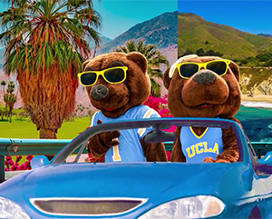 Two people is bear costumes wearing light blue UCLA basketball jerseys and yellow sunglasses driving a blue convertible through a revolving landscape that includes, among other things, costal and mountain views.