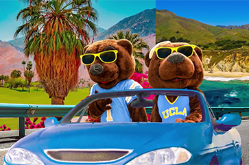 Two people is bear costumes wearing light blue UCLA basketball jerseys and yellow sunglasses driving a blue convertible through a revolving landscape that includes, among other things, costal and mountain views.