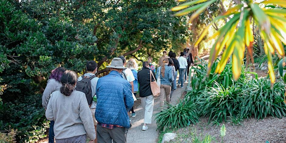 A group of people walking through a shaded section of the UCLA Mathias Botanical Garden. 