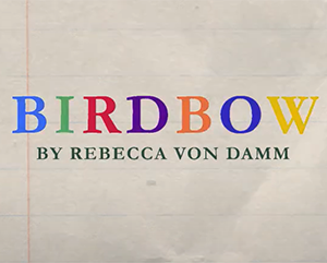 An illustration of an index card with the words: "Birdbow by Rebecca Von Damm."