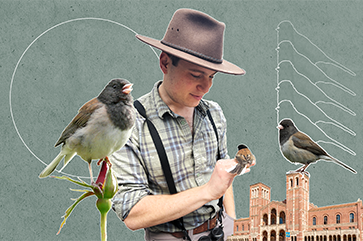 Composite image of doctoral student Joey Di Liberto and dark-eyed juncos and campus buildings.