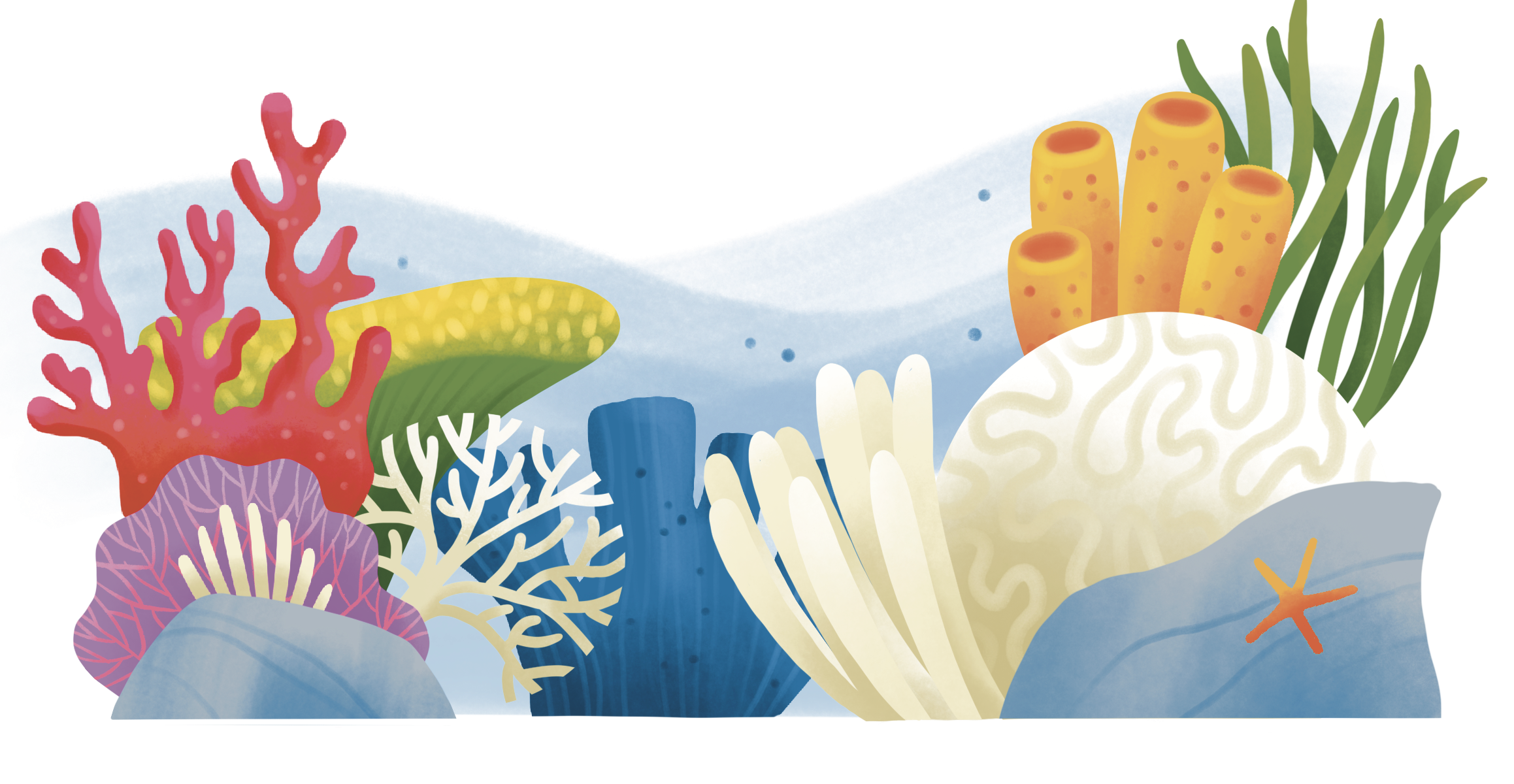 A cartoon depiction of the ocean floor with colorful coral and other aquatic plants.