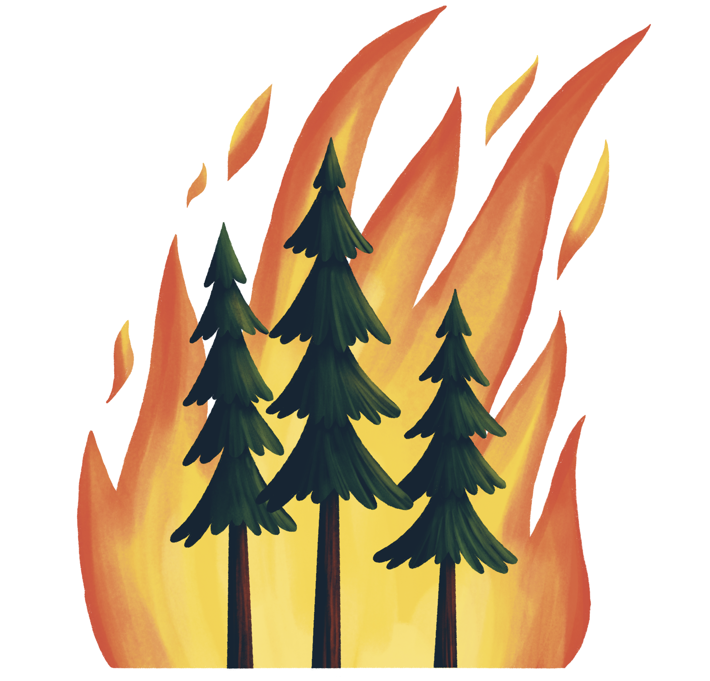 A cartoon depiction of pine trees in a forest fire.