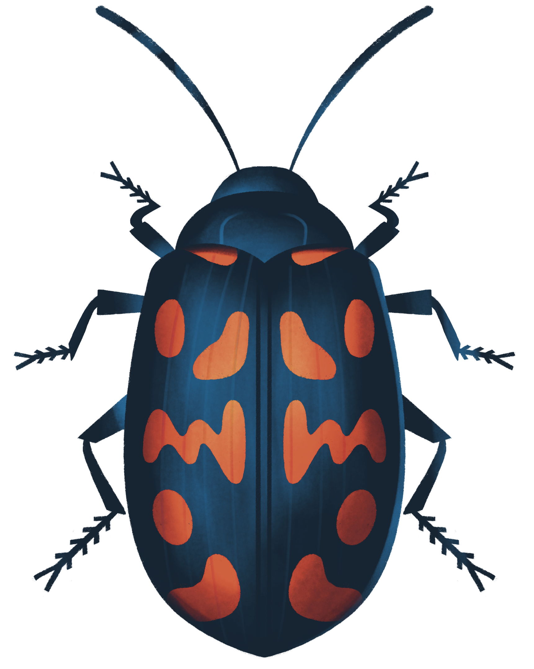 A cartoon depiction of a black beetle with colorful orange markings on its shell.