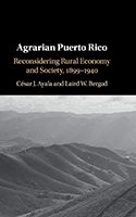 Agrarian Puerto Rico: Reconsidering Rural Economy and Society, 1899–1940 book cover 