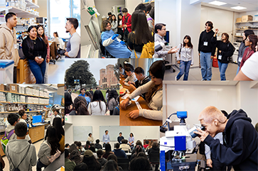 A collage showing high school students during the Eli and Edythe Broad Center of Regenerative Medicine and Stem Cell Research at UCLA Stem Cell Awareness Day.