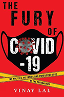 The Fury of Covid-19: The Politics, Histories and Unrequitted Love of the Coronavirus book cover 