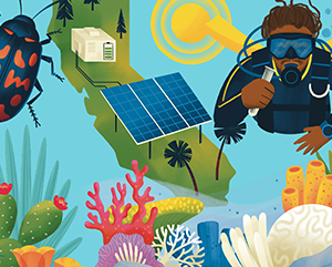 An illustration of UCLA professor Justin Dunnavant scuba diving, mult-colored coral reefs, a cactus with small red flowers, a beetle and the state of California with pine trees, pine trees and solar panels against a light blue background.