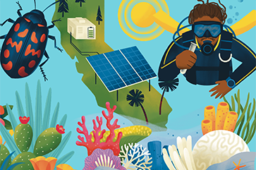 An illustration of UCLA professor Justin Dunnavant scuba diving, mult-colored coral reefs, a cactus with small red flowers, a beetle and the state of California with pine trees, pine trees and solar panels against a light blue background.