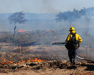 Firefighter implements controlled burn