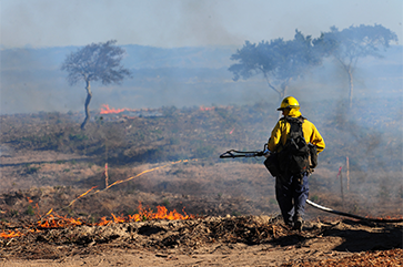 Firefighter implements controlled burn