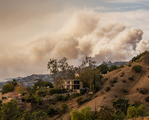 A view of the January 2025 Los Angeles wildfires from Griffith Park