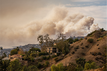 A view of the January 2025 Los Angeles wildfires from Griffith Park