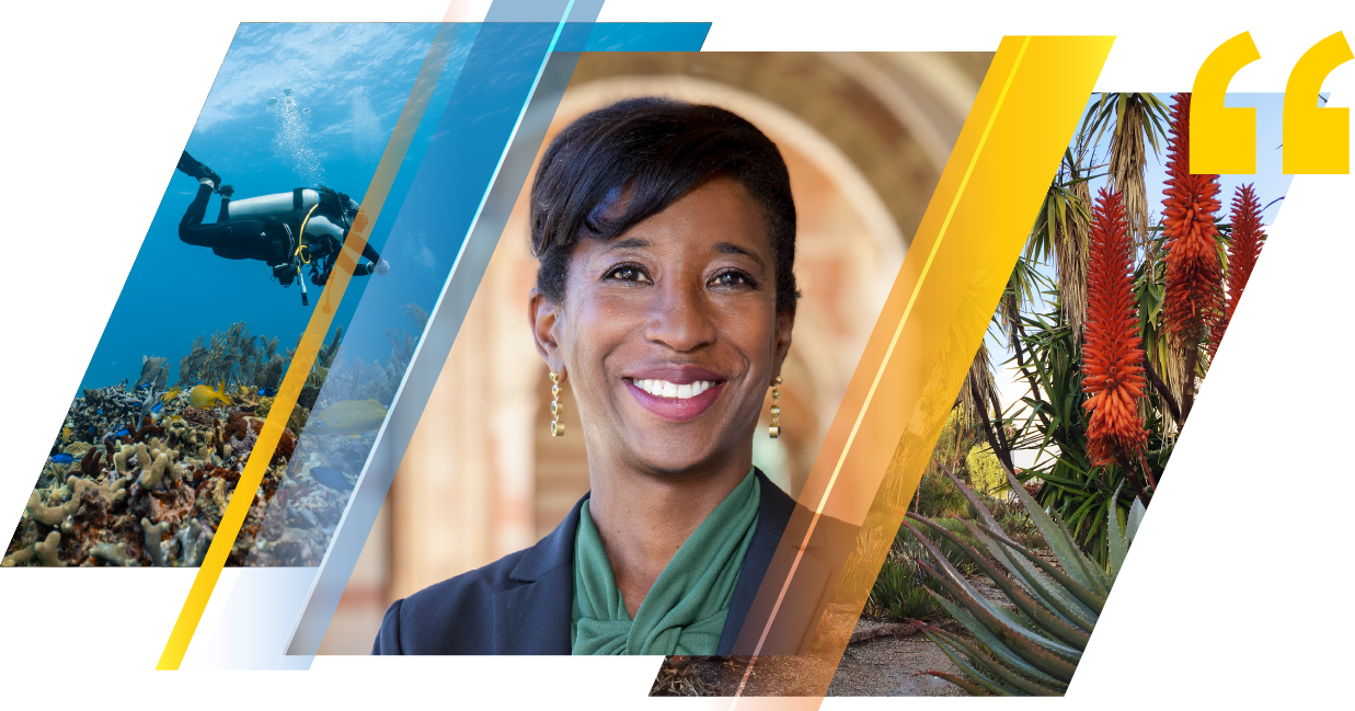 A woman in a dark blazer smiles at the camera, framed by diagonal stripes. To her left is an underwater scene with a scuba diver, and to her right is a desert landscape with red flowering plants.