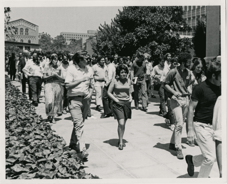 A large group of people, mostly young adults, walk together outdoors on a sunny day along a sidewalk lined with plants, with trees and campus buildings in the background.