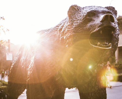 A bronze bear statue stands outdoors at sunrise or sunset, with sunlight shining brightly behind it and lens flares visible. The bear has an open mouth, showing its teeth.