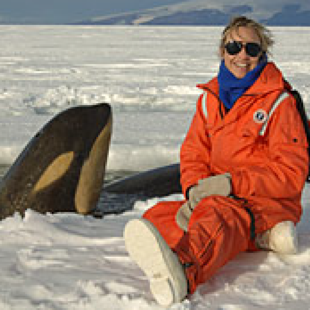A person in an orange cold-weather suit and sunglasses sits on snowy ground, smiling, with an orca whale emerging from the ice behind them. The setting appears to be a polar or icy environment.