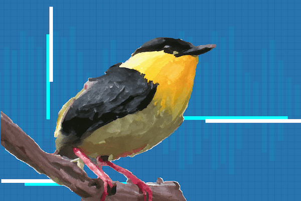 Illustration of a small bird with yellow and black plumage perched on a branch, set against a blue grid background with white and blue bars resembling sound waves.