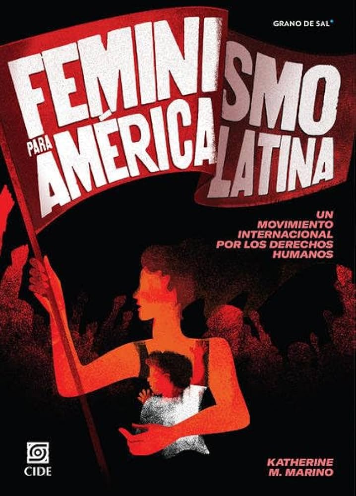 Illustrated book cover showing a woman holding a child and raising a flag. The text reads: “Feminismo para América Latina: Un movimiento internacional por los derechos humanos” by Katherine M. Marino.