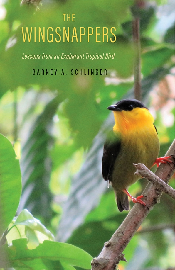 Book cover of The Wingsnappers featuring a small yellow and green bird perched on a branch amidst lush green foliage, with the title and author’s name overlaid on the image.